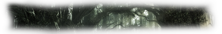 http://www.annwvyn.net/AF/foretCate.png